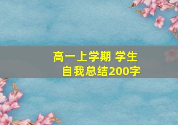 高一上学期 学生自我总结200字